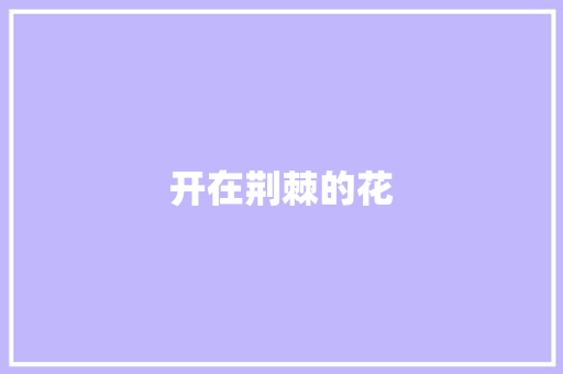 开在荆棘的花