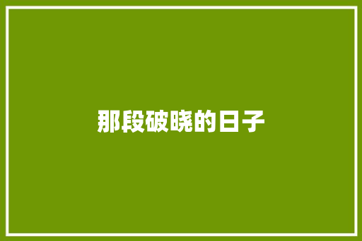 那段破晓的日子