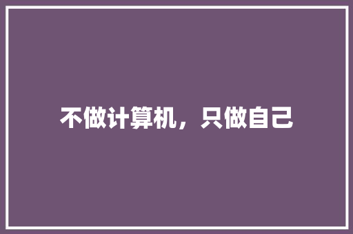 不做计算机，只做自己