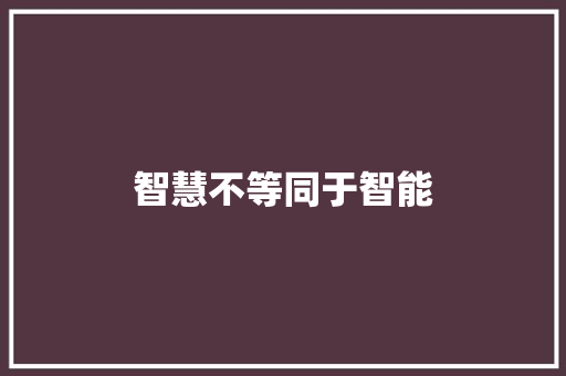 智慧不等同于智能
