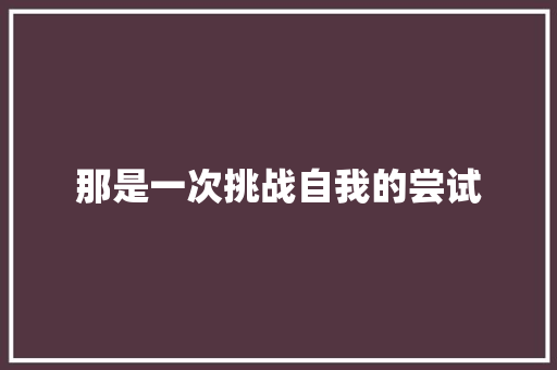 那是一次挑战自我的尝试