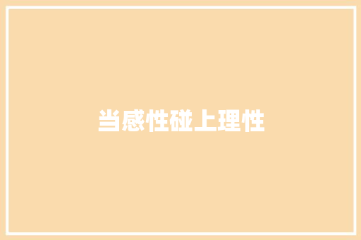 当感性碰上理性