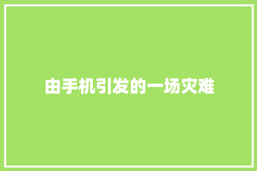 由手机引发的一场灾难