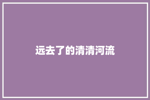 远去了的清清河流