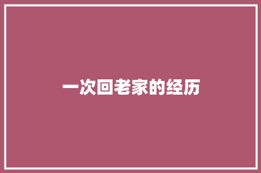 一次回老家的经历