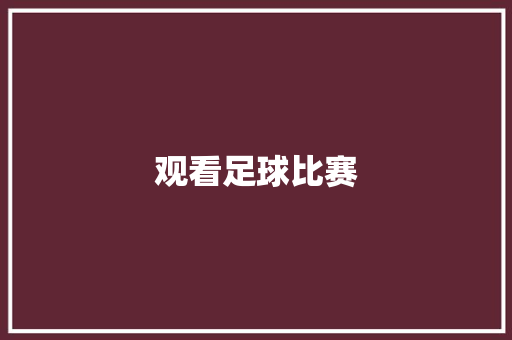 观看足球比赛