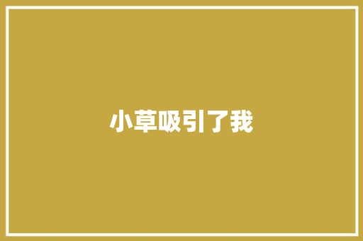 小草吸引了我