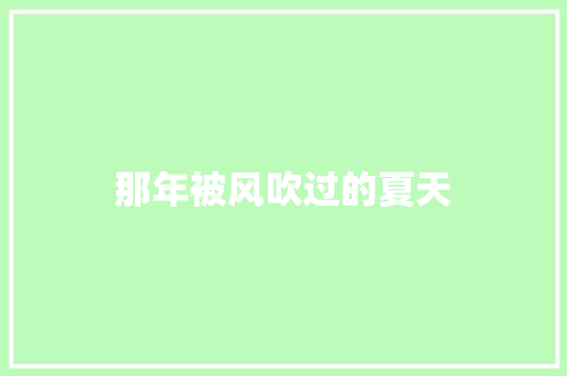 那年被风吹过的夏天