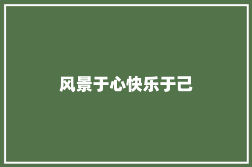 风景于心快乐于己