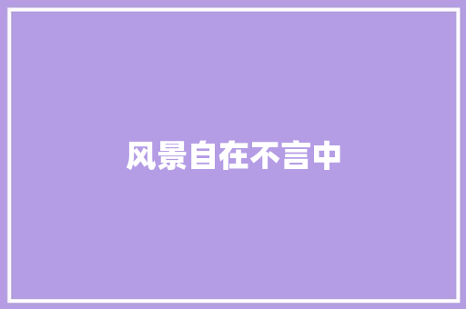 风景自在不言中