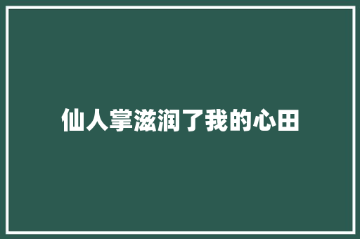 仙人掌滋润了我的心田
