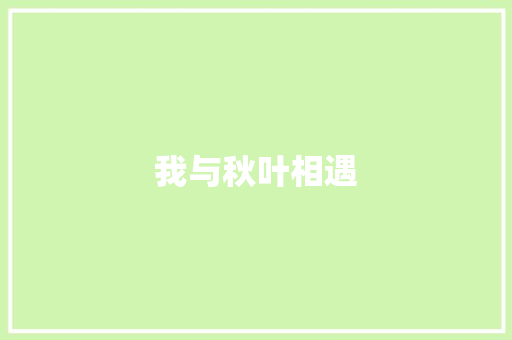 我与秋叶相遇
