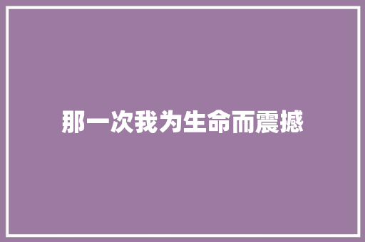 那一次我为生命而震撼