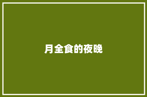 月全食的夜晚