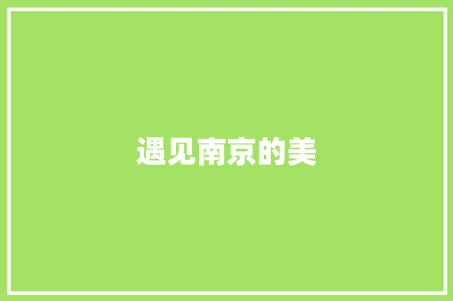 遇见南京的美
