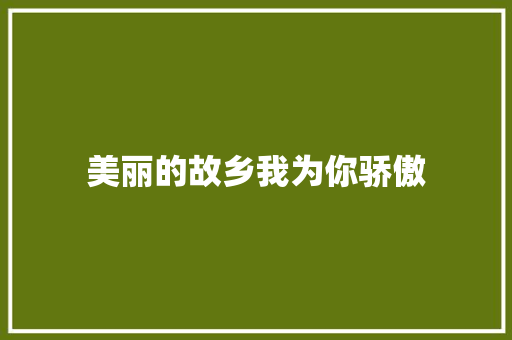 美丽的故乡我为你骄傲