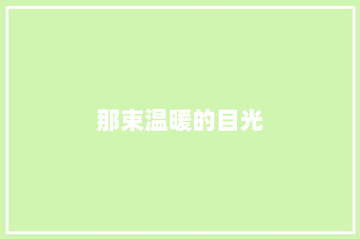 那束温暖的目光