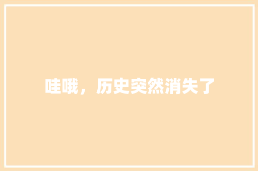 哇哦，历史突然消失了