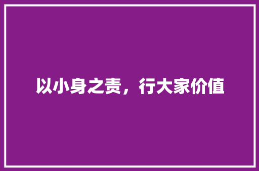 以小身之责，行大家价值