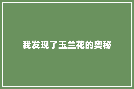 我发现了玉兰花的奥秘