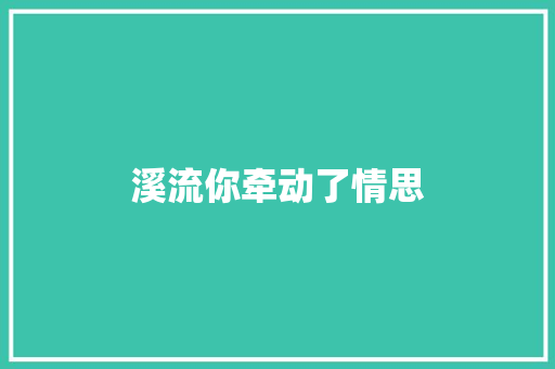 溪流你牵动了情思