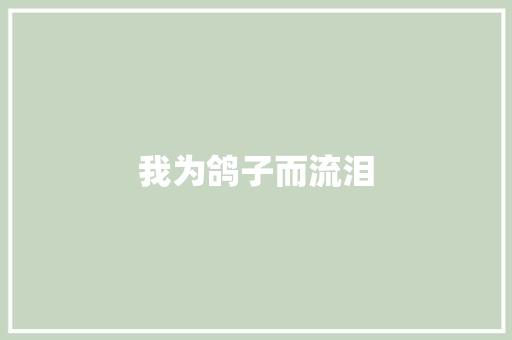 我为鸽子而流泪