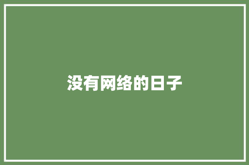 没有网络的日子