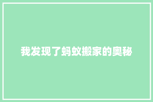 我发现了蚂蚁搬家的奥秘