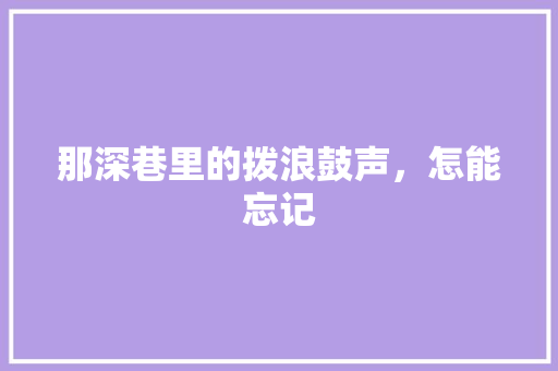 那深巷里的拨浪鼓声，怎能忘记