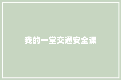 我的一堂交通安全课