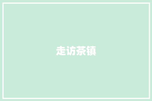 走访茶镇
