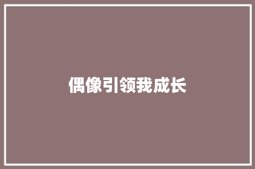 偶像引领我成长