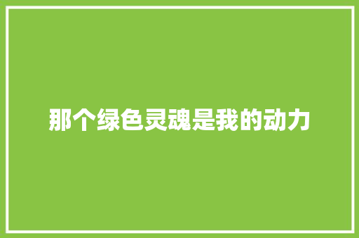 那个绿色灵魂是我的动力