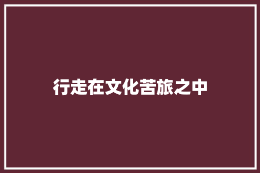 行走在文化苦旅之中