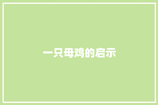 一只母鸡的启示