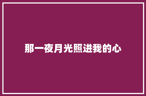 那一夜月光照进我的心