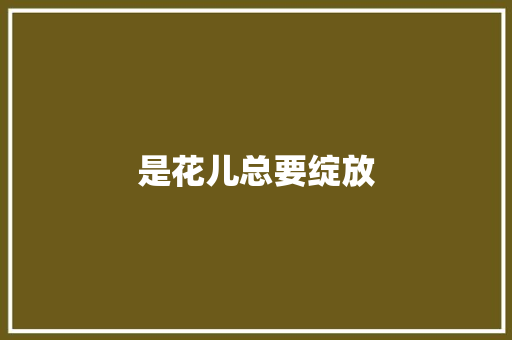 是花儿总要绽放