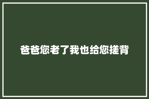 爸爸您老了我也给您搓背