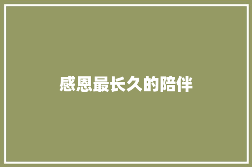 感恩最长久的陪伴