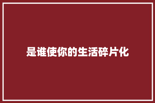 是谁使你的生活碎片化