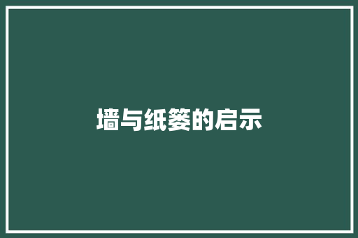 墙与纸篓的启示