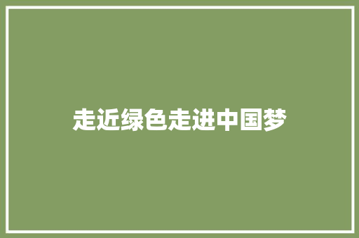 走近绿色走进中国梦
