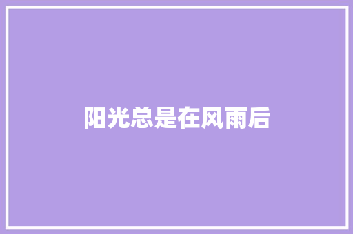 阳光总是在风雨后