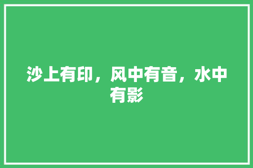 沙上有印，风中有音，水中有影