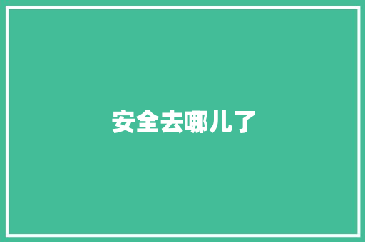 安全去哪儿了