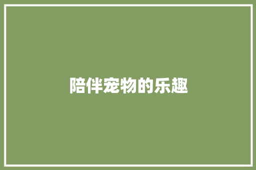 陪伴宠物的乐趣