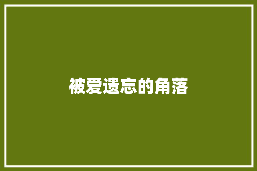被爱遗忘的角落