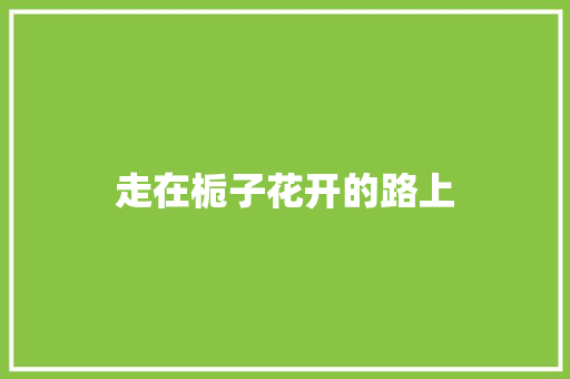 走在栀子花开的路上