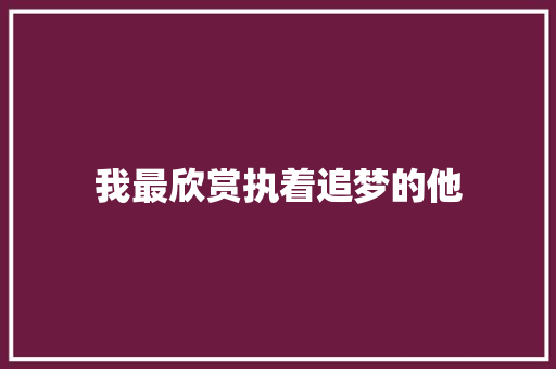 我最欣赏执着追梦的他