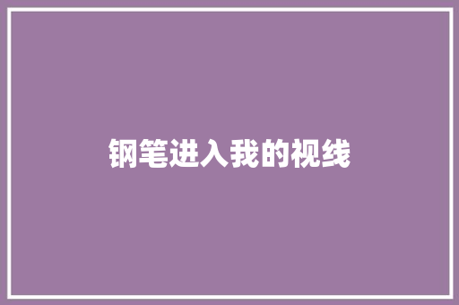 钢笔进入我的视线